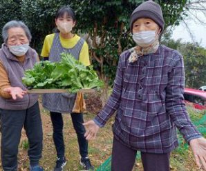 年明けのたかのし農園🥬