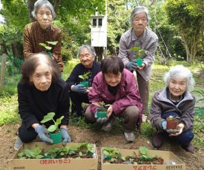 夏野菜の苗植え🌱たかのしの杜