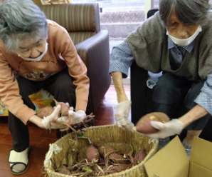 おイモの収穫🍠デイサービス