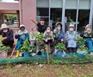 イモの苗植え🍠たかのしの杜