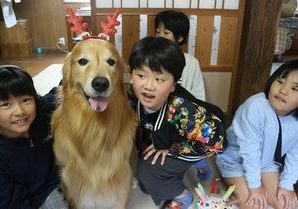 愛犬ホット君🐕スマイルKids